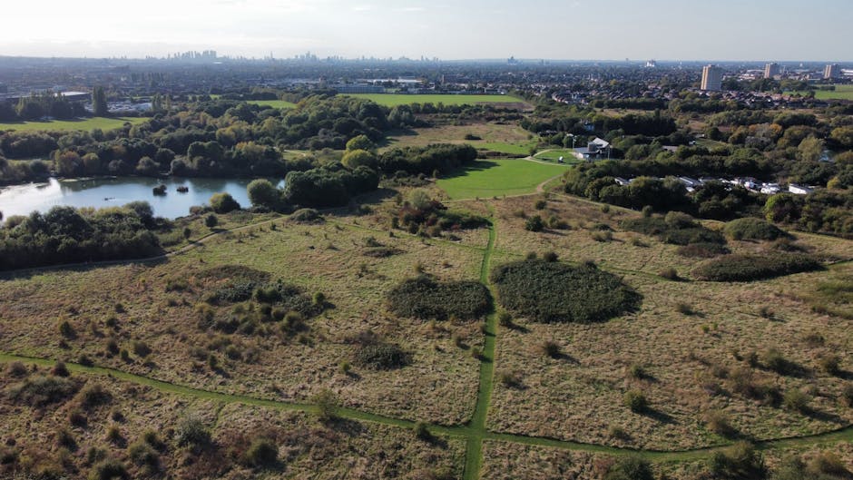 An aerial view of Valentines Park and the surrounding Redbridge area in Ilford, showing lush green open spaces, walking paths, and scattered trees. In the foreground, the park features grassy fields w